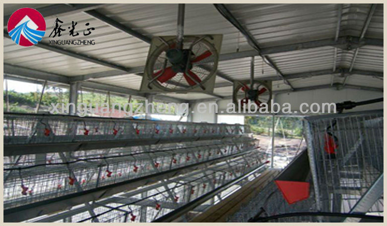 Steel structure prefabricated storage chicken sheds house building