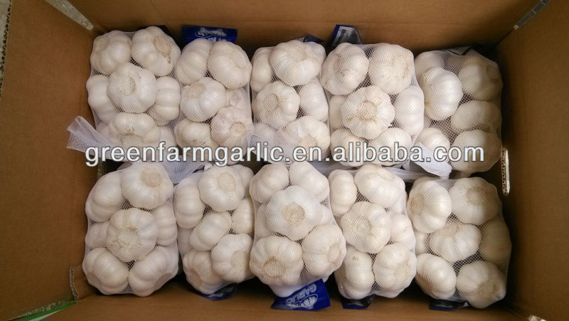 pure white garlic 5cm in 500g bags