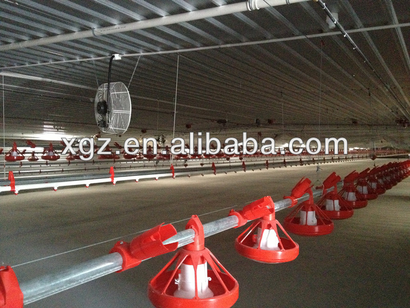 Automatic poultry farming design for broiler layer chicken house/shed