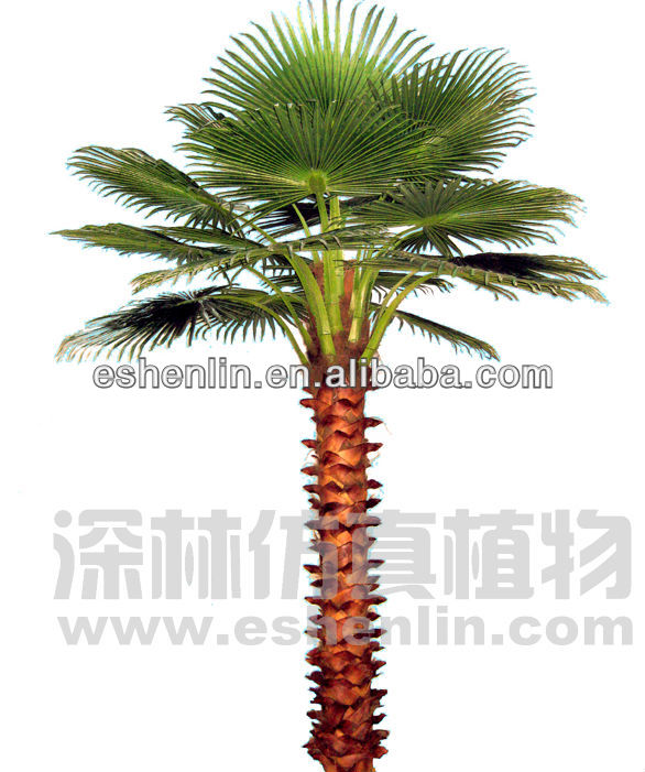 Decorative Indoor Artificial Palm Trees,Natural Palm Tree Buy Natural