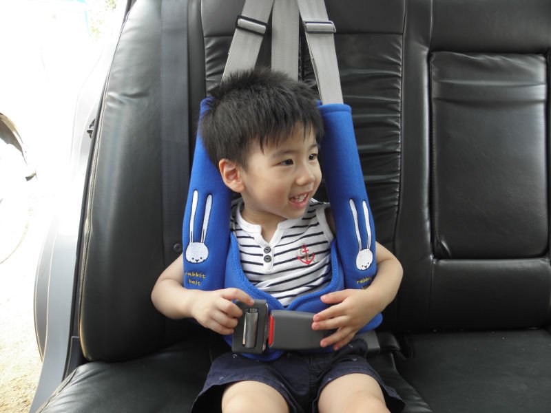 child safety belt