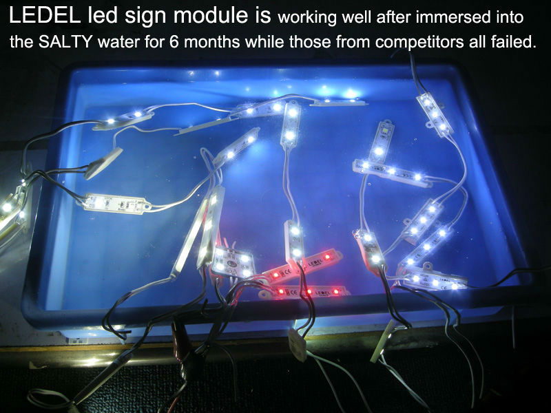 IP65 waterproof ,5 YEARS Warranty,Powered by everlight led module , 12 volt led 2835 led lamps for illuminated signs