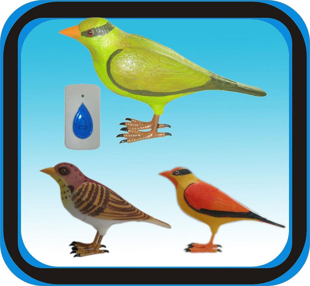 10pcs Bird Sounds Funny For Kids Room Wireless Doorbell 10pcs Bird Sounds Funny For Kids Room Wireless Doorbell
