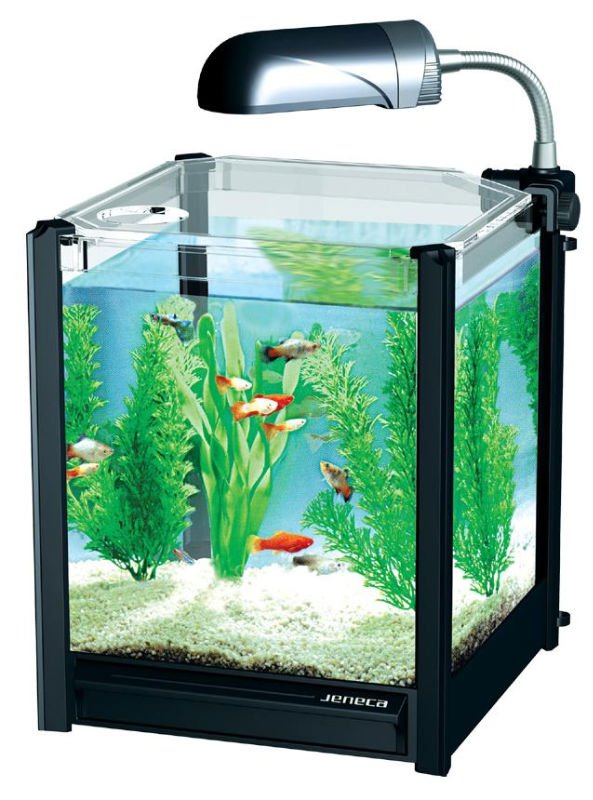 Smart Apperance Mini Fish Tank - Buy Mini Glass Fish Tank,Table Fish ...