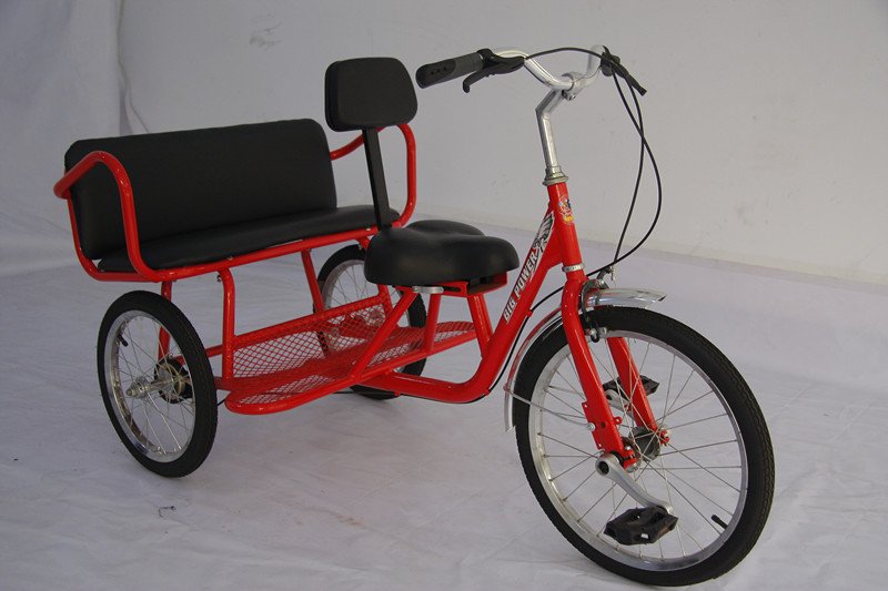 Adult Tricycle Seats 111