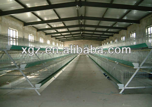 prefabricated steel structure chicken room /poultry house