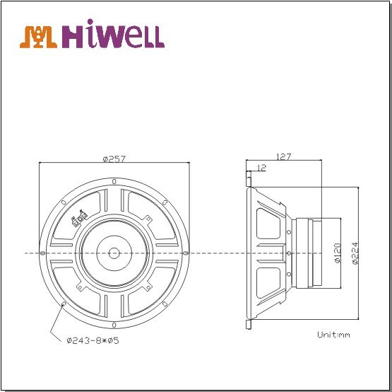 diameter speaker 10 inch