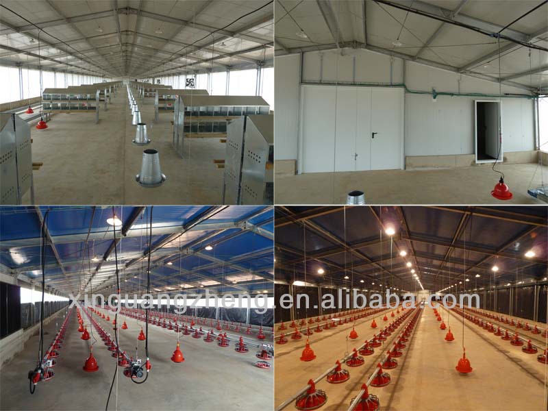 steel structure fabrication poultry farm building broiler chicken shed