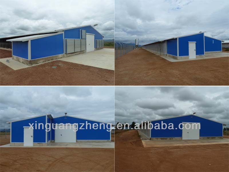 Xinguangzheng factory manufacture chicken shed poultry farm