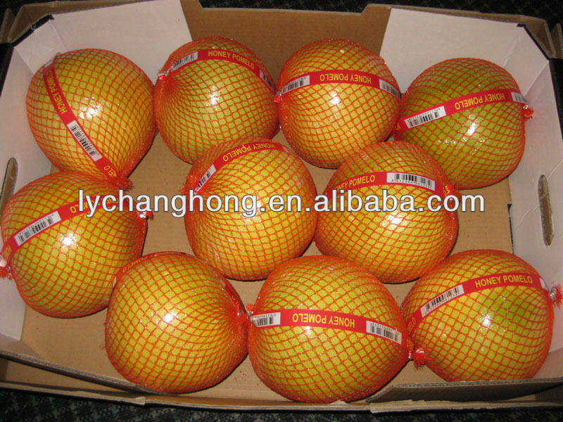 Name All Citrus Fruits/mandarin Orange/fresh Orange/list ...