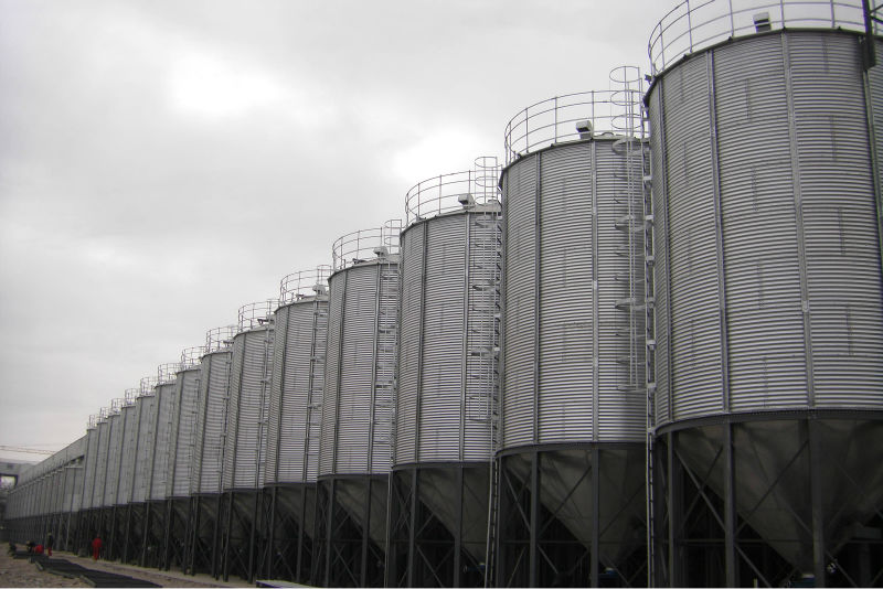 Сенаж крс. Заготовка силоса 2022. Трамбовщик силоса кт-3. Класс силоса. Класс силоса.