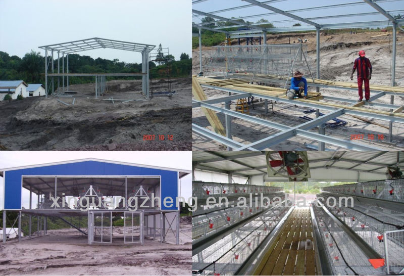 steel structure fabrication poultry farm building broiler chicken shed