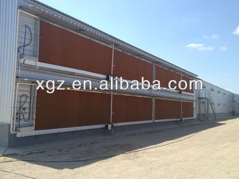 Low Cost Double-deck Poultry House/Chicken House