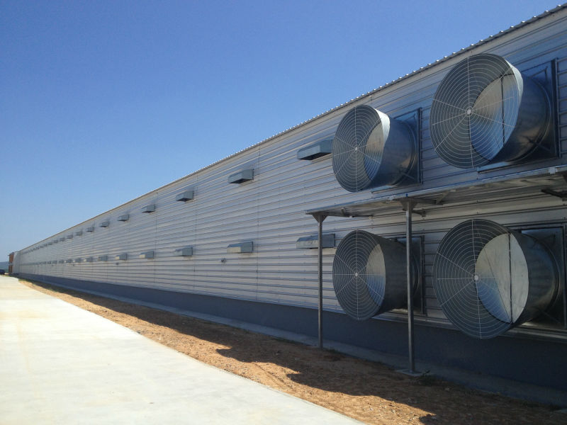 turnkey poultry projects