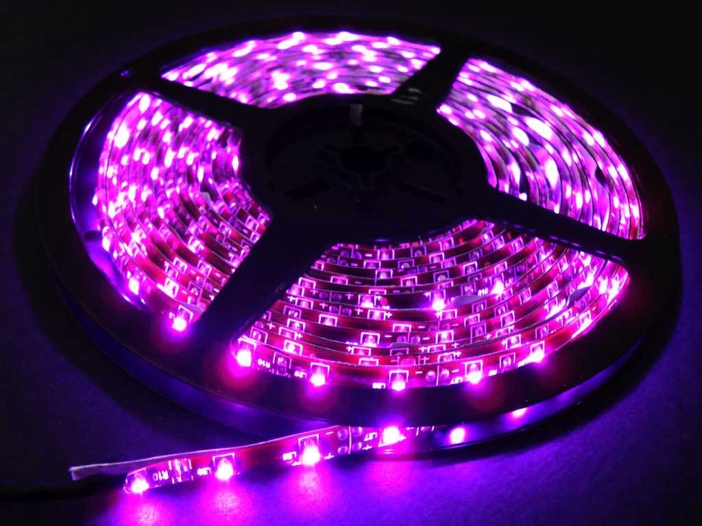 Фиолетовое освещение. 36led RGB, 1000х52х72mm. DS led 5050 1000 мм. Светодиодная лента фиолетовая. Фиолетовый светодиод.