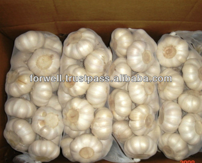 DRY GARLIC FROM EGYPT RED AND WHITE GOOD PRICE