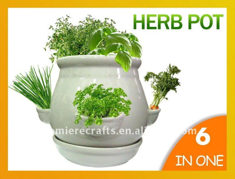 Mini Garden Diy Ceramic Planter Pots Grow Your Own Mini Garden Diy Ceramic Planter Pots Grow Your Own