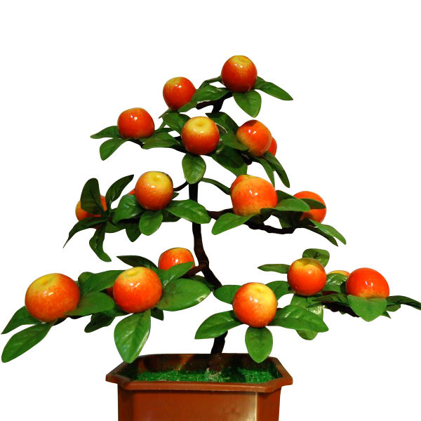 Imitasi Buah Buahan Apel Merah Bonsai Dekorasi Buy Product Gambar
