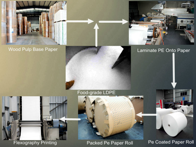 Kraft Paper Roll/newsprint Paper Roll/roll Paper China Manufacturer