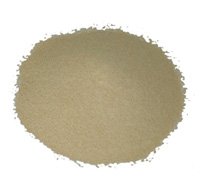 Angel Nutrient FN401 (Inactive Yeast)