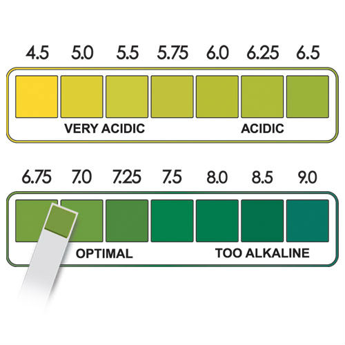 Reagent Ph Gastric Aspirate Test Strips 2.09.0 Buy Ph Water Test