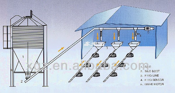 Professional high quality good poultry house design